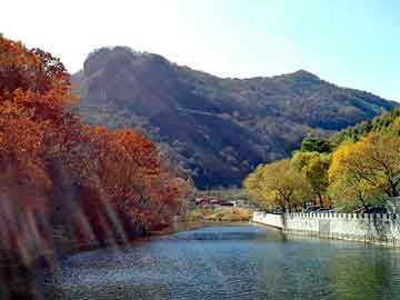 新澳天天开奖资料大全旅游团，对不起我爱你小说